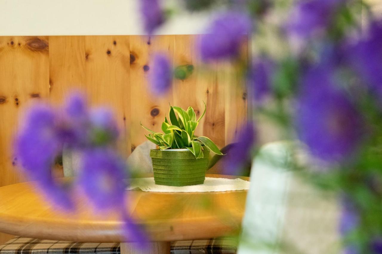 Residence Intica San Candido Dış mekan fotoğraf